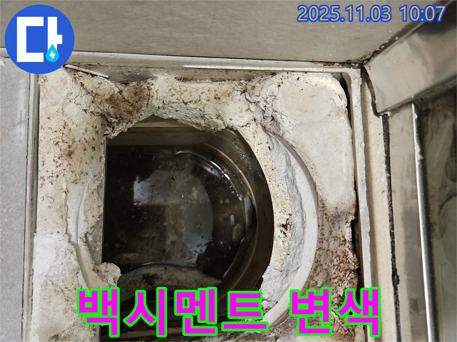 신금호파크자이 욕실 배수구 - 백시멘트 변색과 곰팡이, 누수 초기 증상