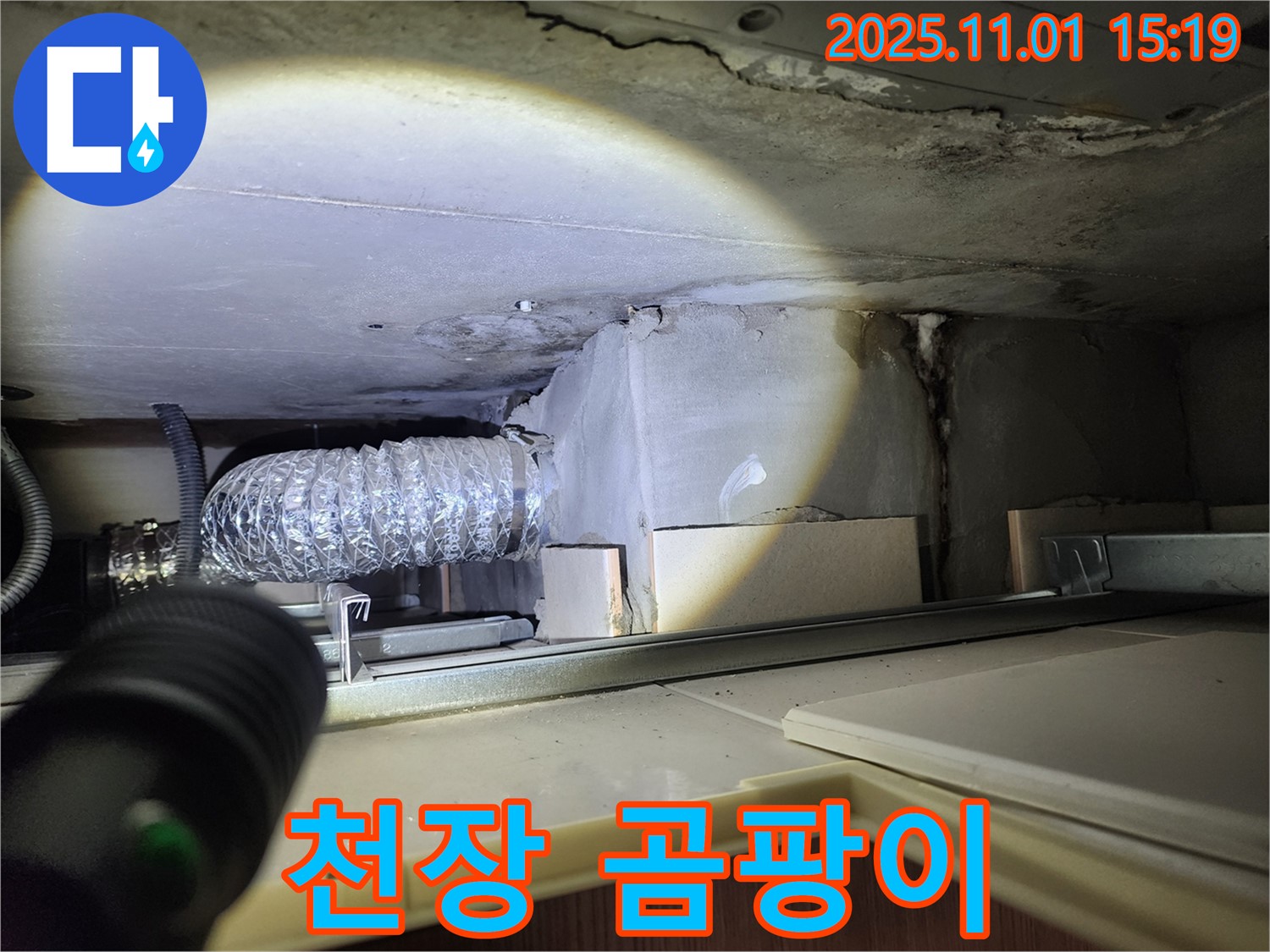천장 곰팡이 - 누수로 인한 곰팡이