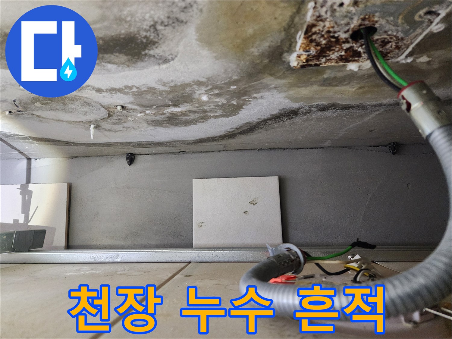 천장 누수 - 곰팡이와 얼룩