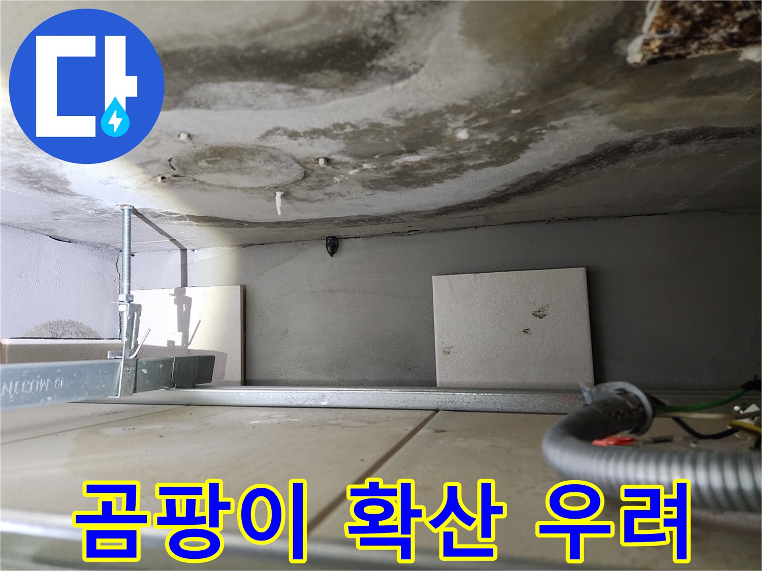 천장 젖음-곰팡이 확산 가능성