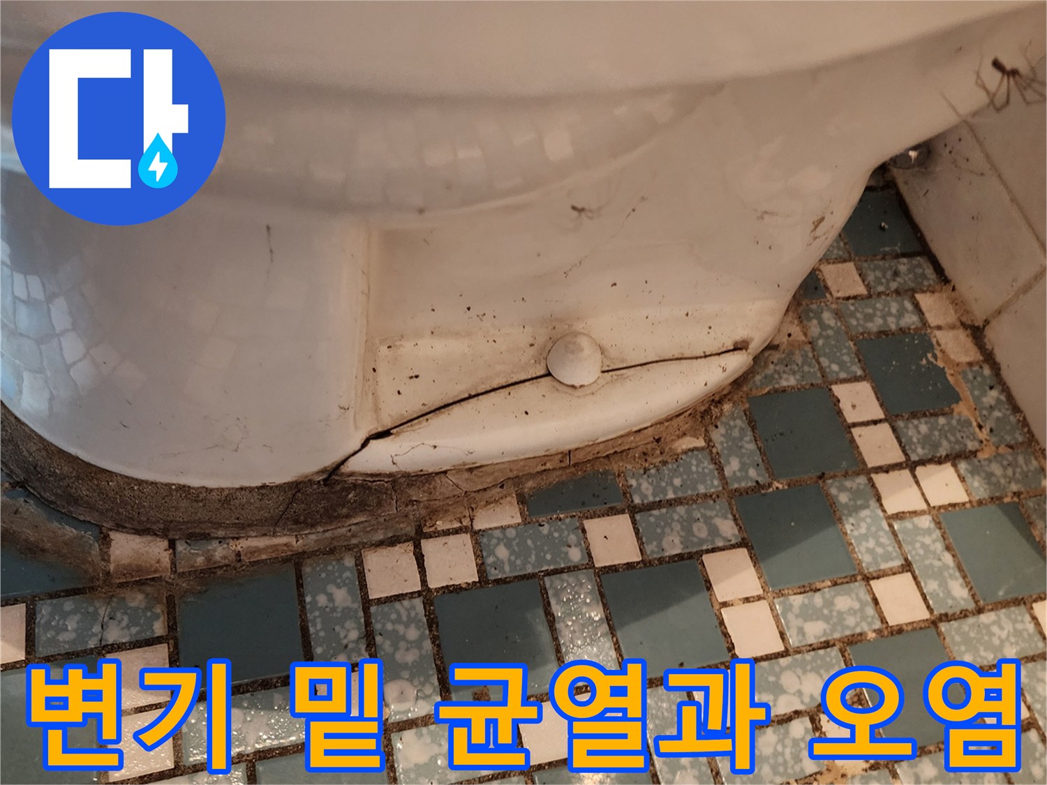 변기 도기 틈새의 균열과 타일 사이 습기 상태