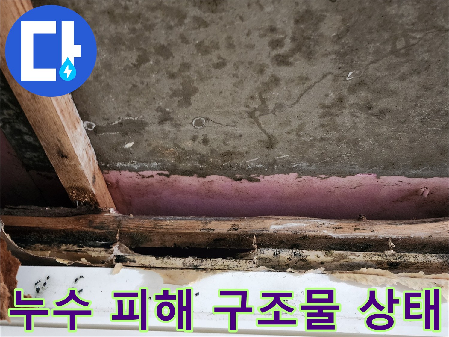 습기로-부식된-천장-목재-및-석고보드