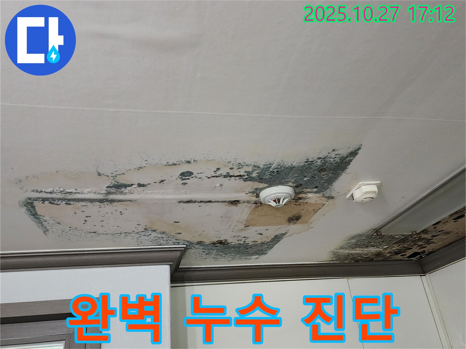 양주 회천2동 천장 누수 - 완벽 진단과 꼼꼼한 공사 약속