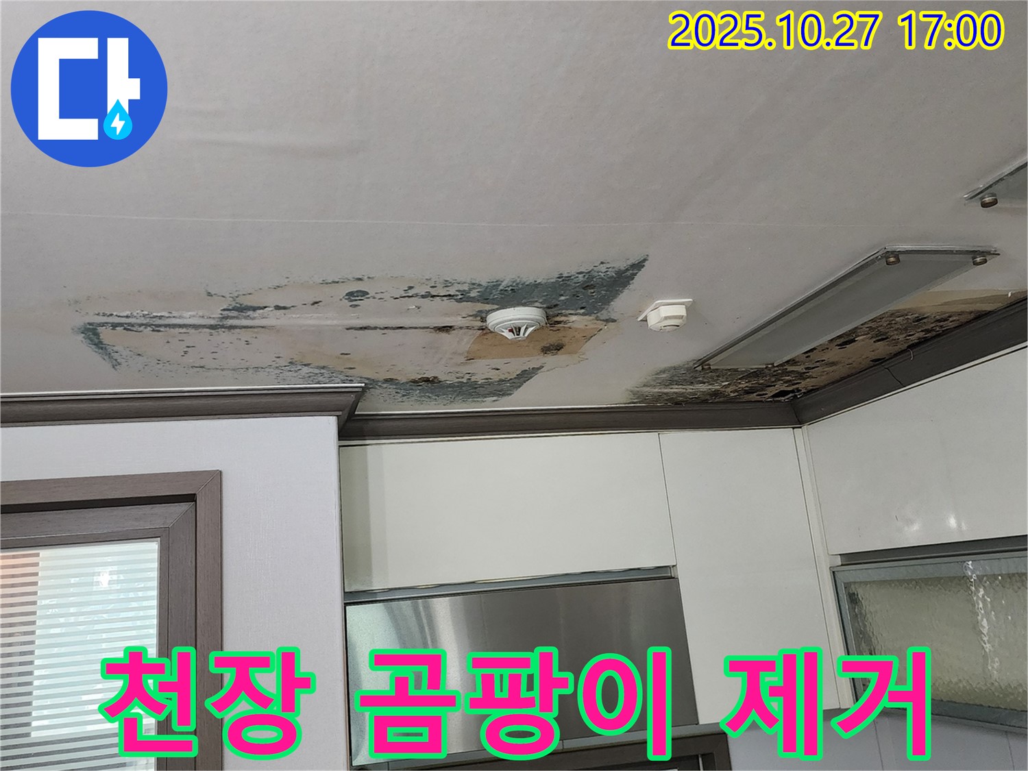 양주시 회천2동 아파트 누수 - 천장 곰팡이 제거 및 누수 해결