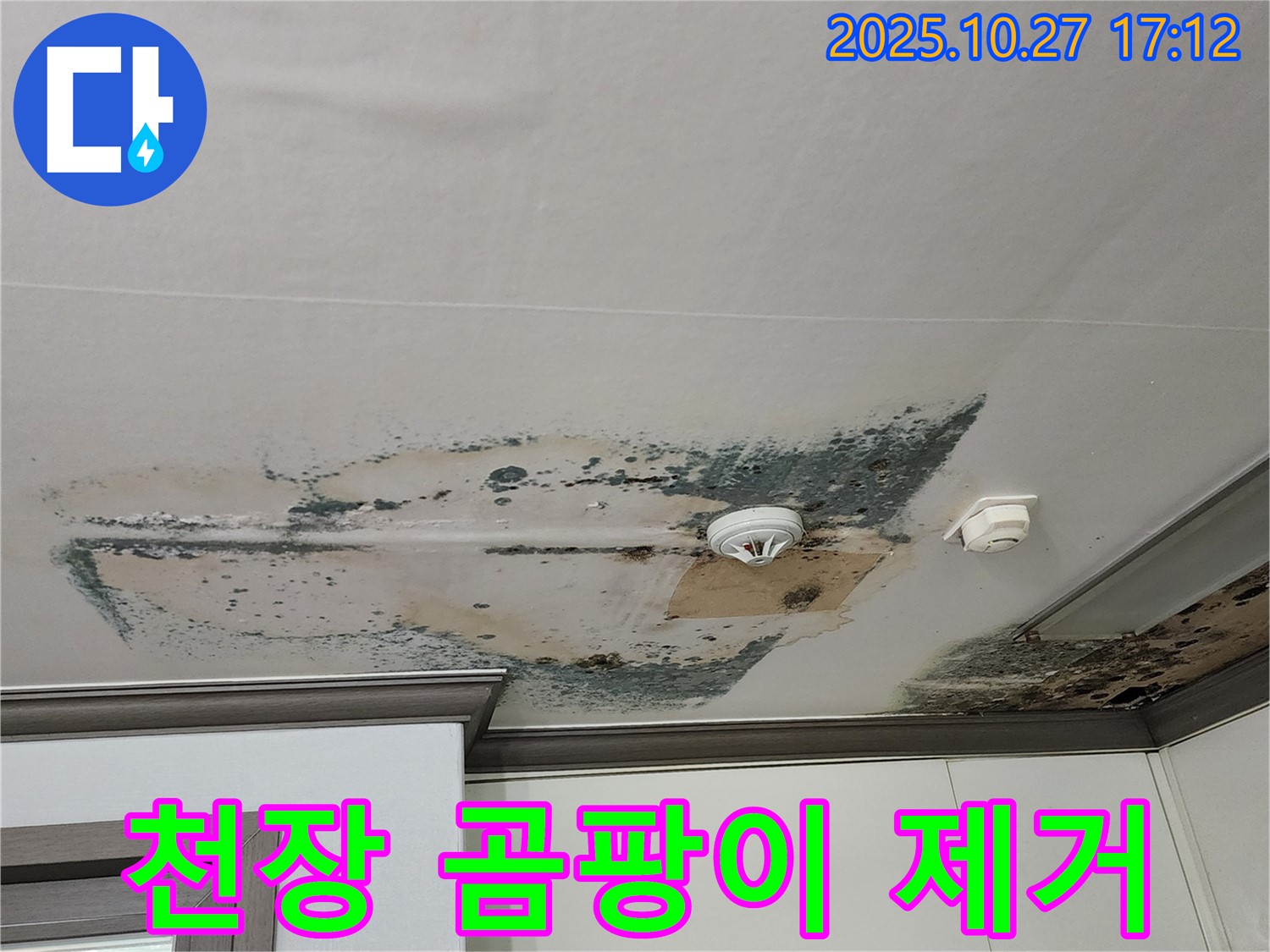 양주시 회천2동 아파트 천장 - 곰팡이 긴급 제거 작업
