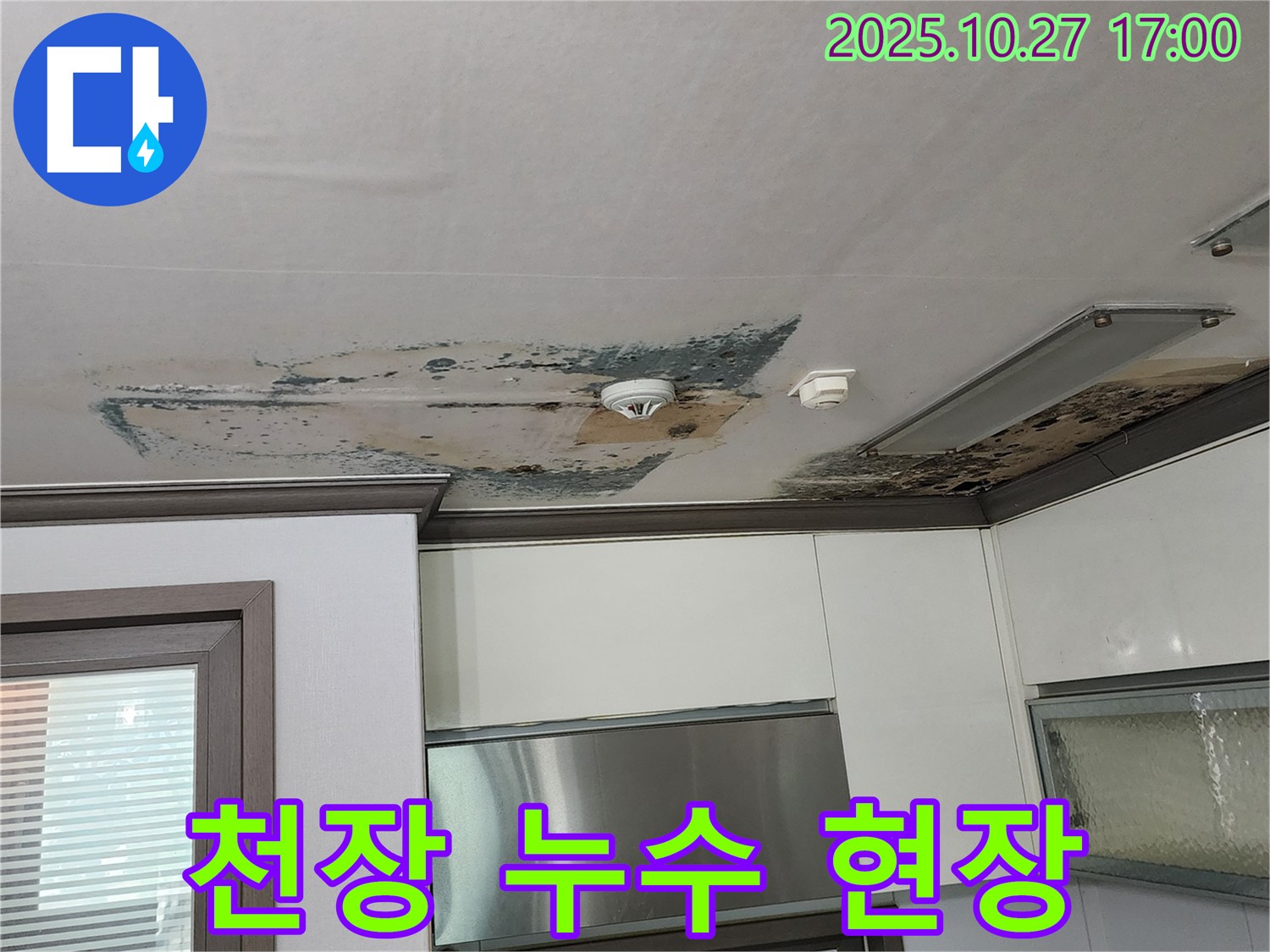양주시 회천2동 아파트 천장 누수 현장 - 누수탐지 전문가의 꼼꼼한 진단과 해결