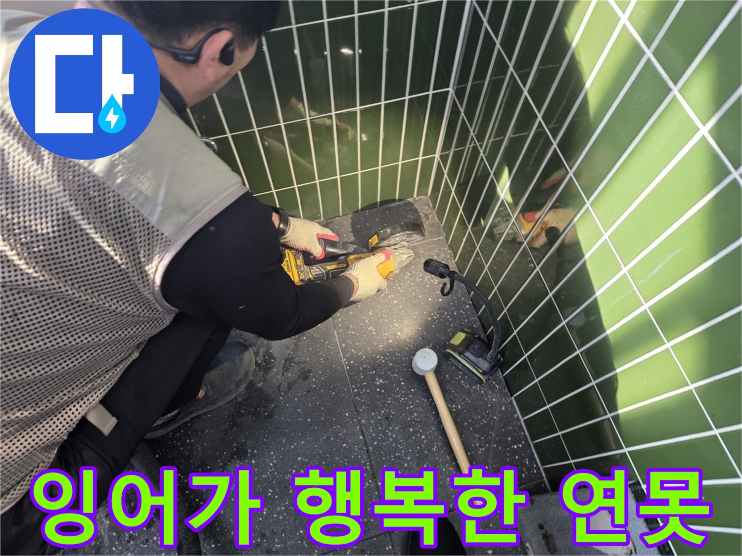 연못 누수 해결 - 잉어가 행복한 공간으로