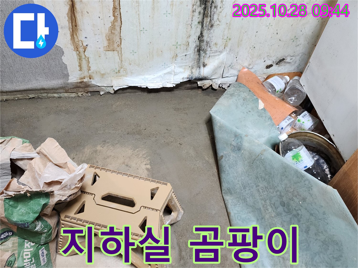 지하실 곰팡이 - 습기와 누적된 피해