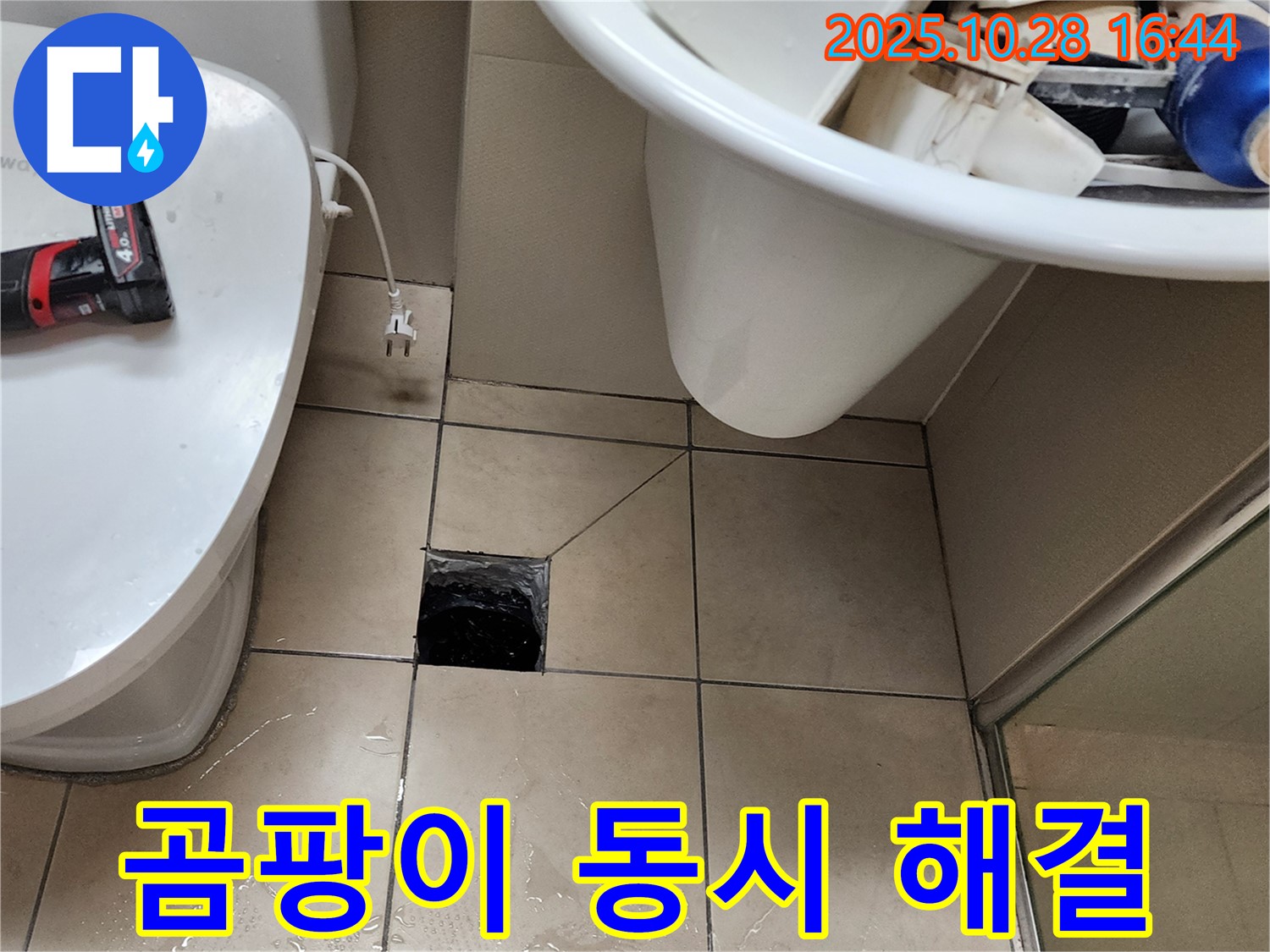 양주 유양동 화장실 하수구 주변 곰팡이 발생 - 누수와 곰팡이 문제 동시 해결