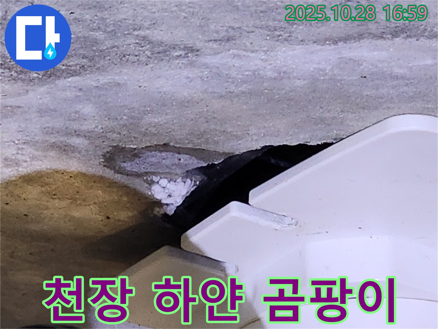 양주시 유양동 천장 누수 - 천장 속 하얀 곰팡이, 누수와 곰팡이 문제를 동시에 해결합니다.