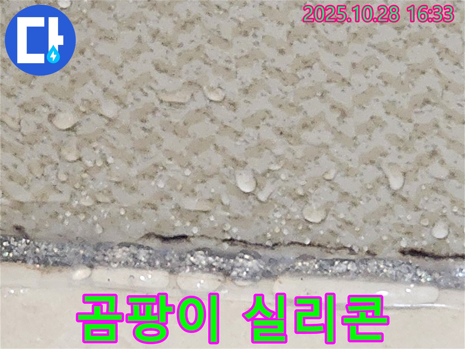 양주시 유양동 타일 틈새 곰팡이 - 제거 후 재시공