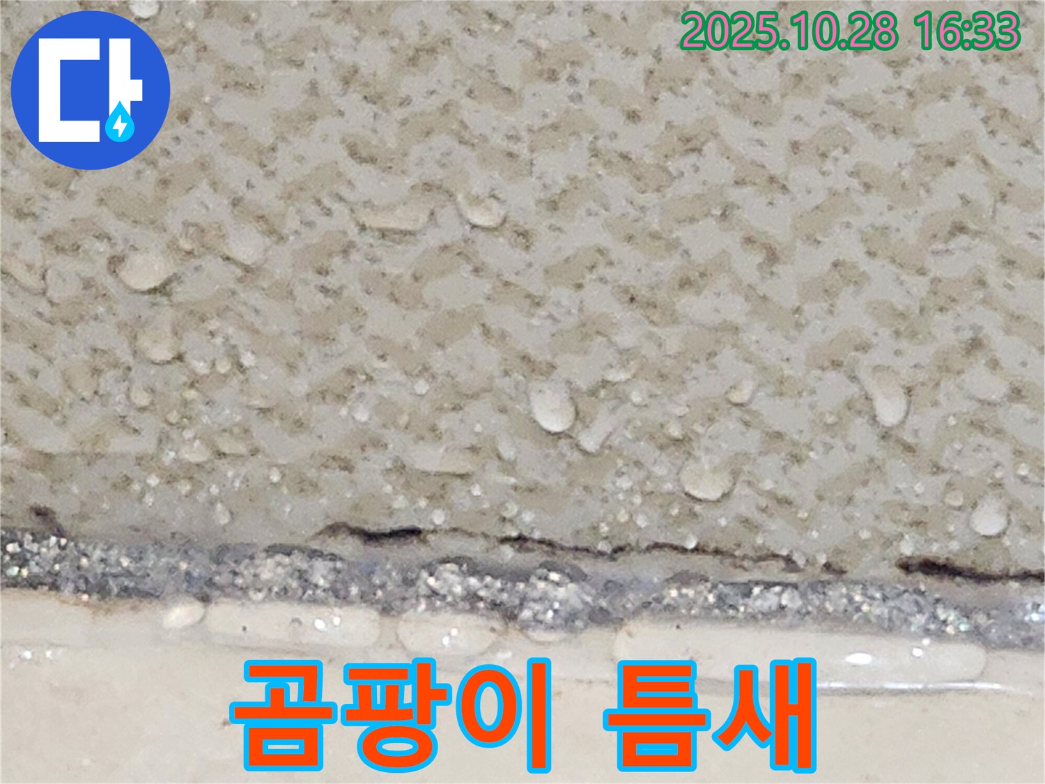양주시 유양동 타일 틈새 곰팡이 - 코킹 재시공