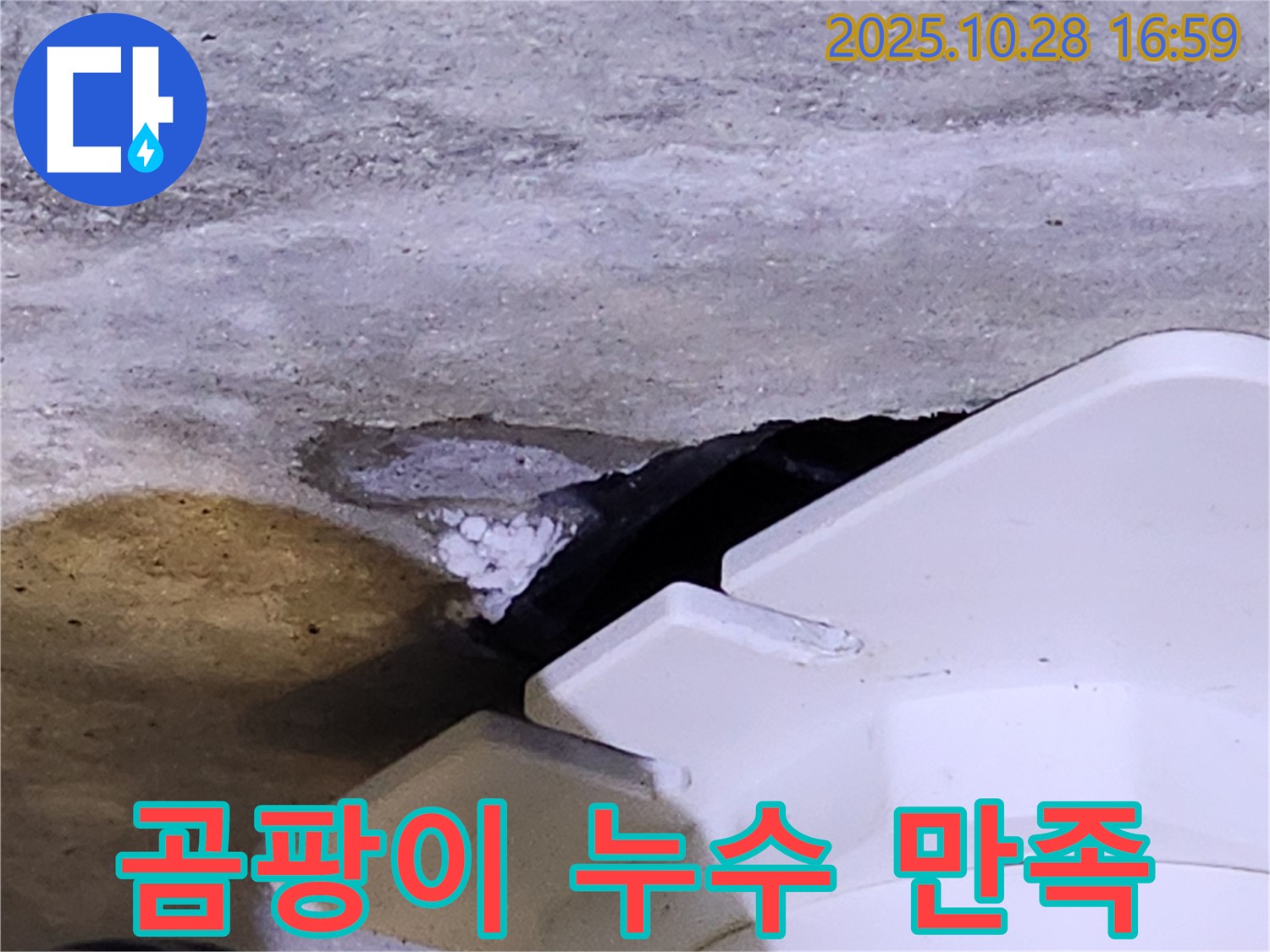 유양동 누수 - 하얀 곰팡이와 함께 발생하는 누수, 고객 만족을 최우선으로 생각합니다.