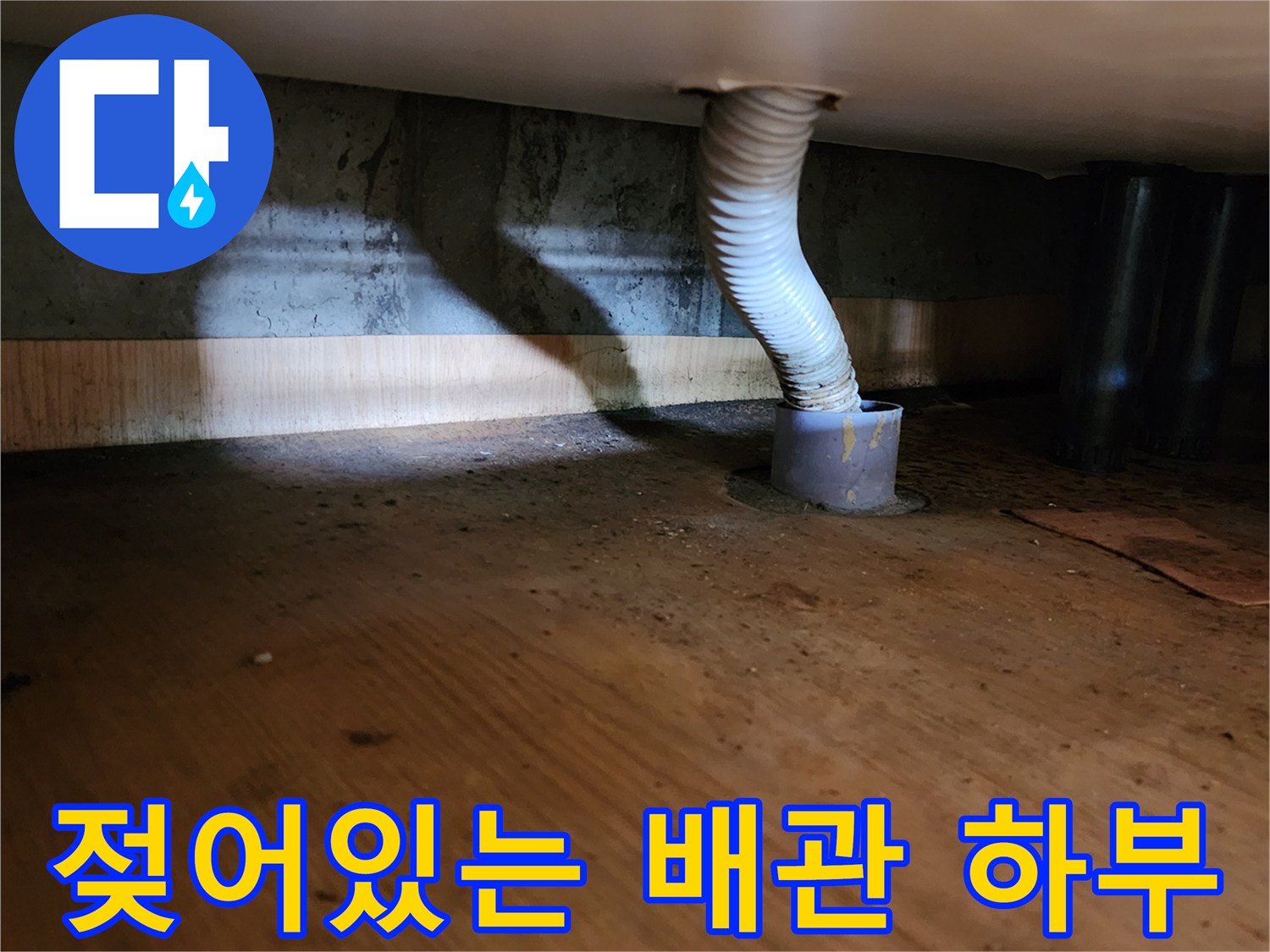 배수관-연결지점-하단-물고임-현상