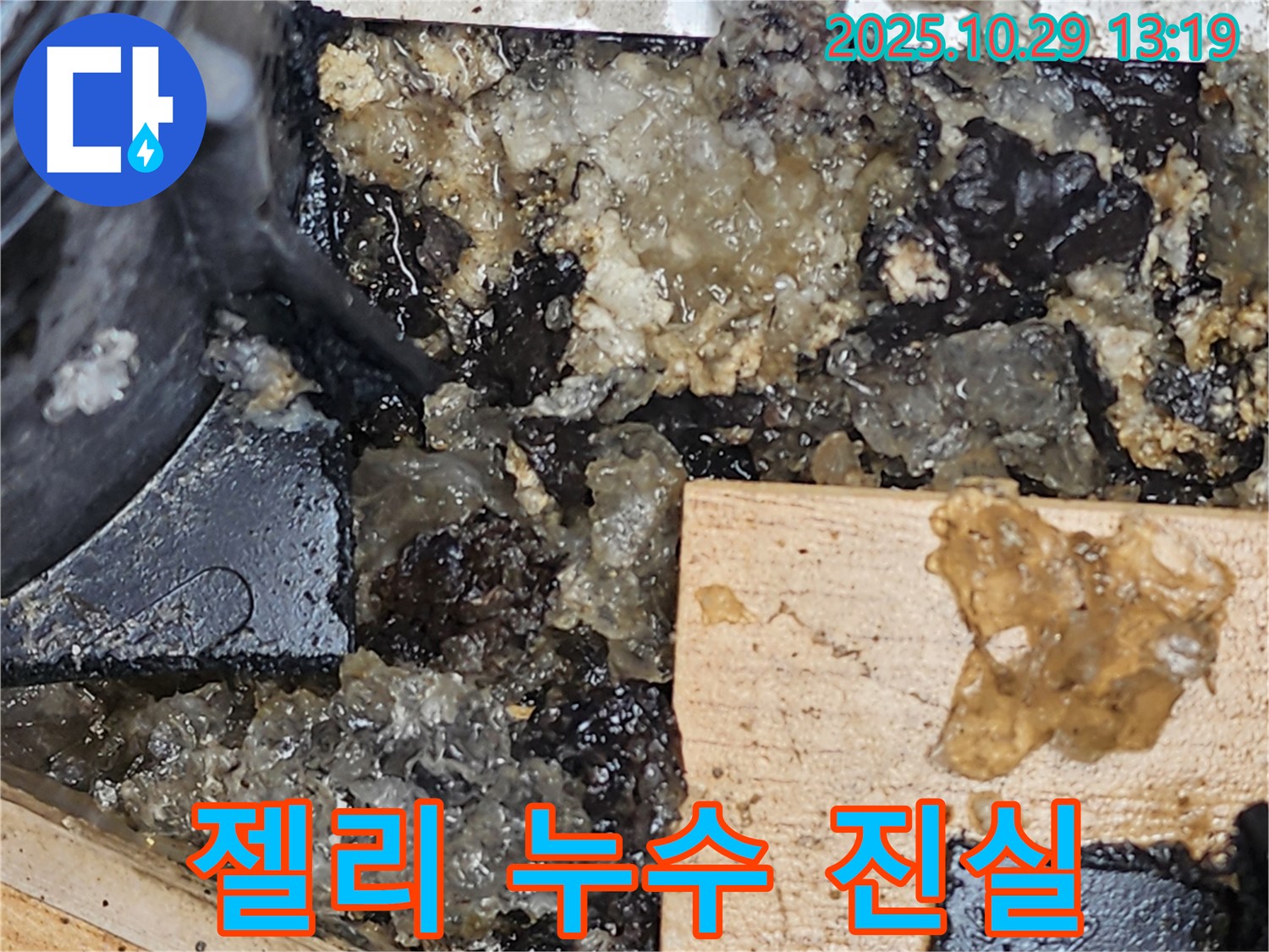 산북동 누수 - 젤리 누수의 숨겨진 진실을 파헤치다!