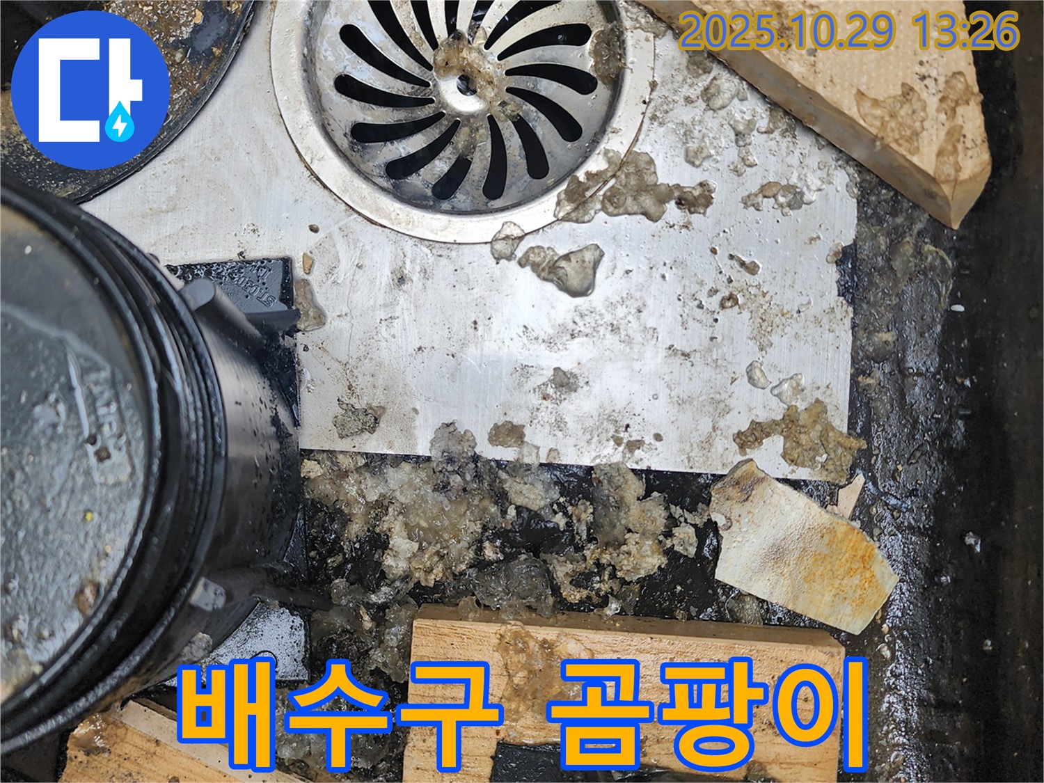 싱크대 배수구 주변 곰팡이 - 누수와 건강을 위협