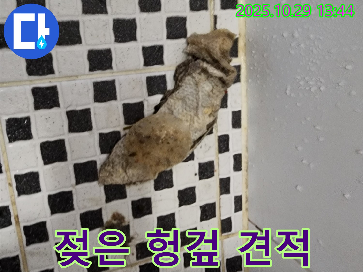 양주시 산북동 누수 현장 - 젖은 헝겊과 합리적인 견적으로 누수 해결