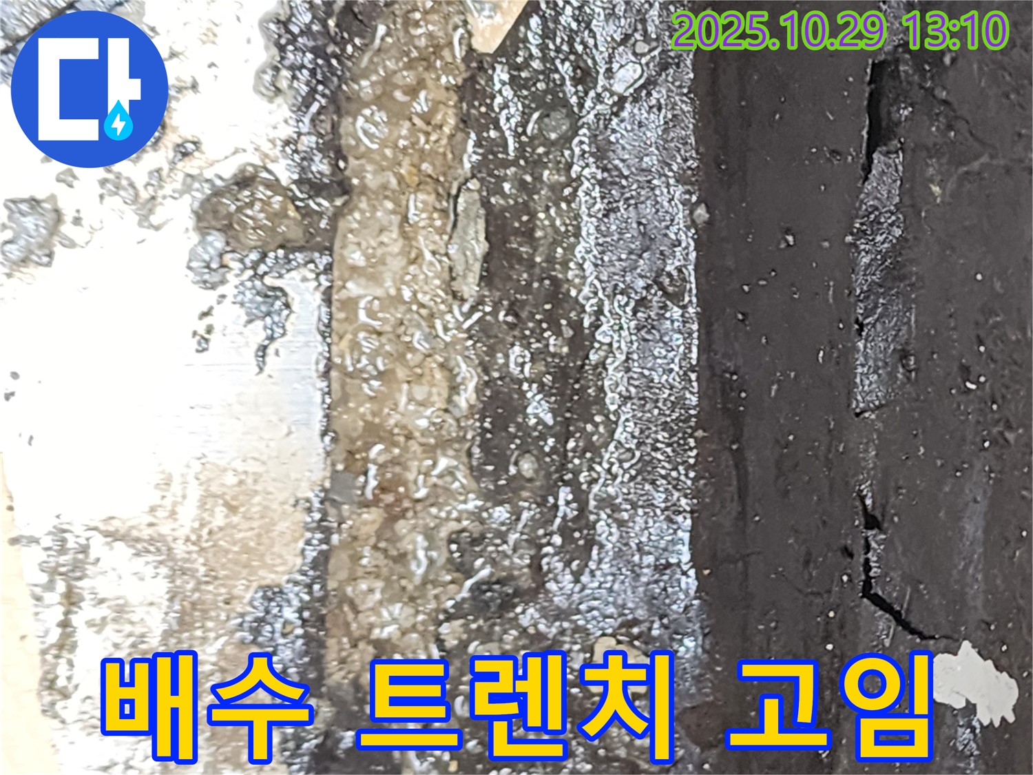 양주시 산북동 옥상 배수 트렌치 물고임 심각