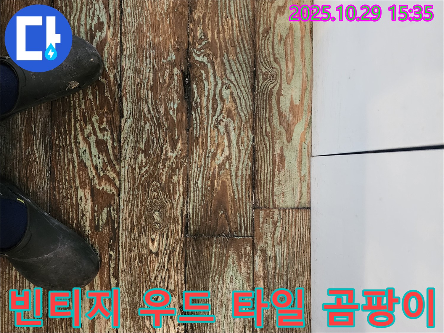 마전동 누수 - 빈티지 우드 타일에 핀 곰팡이