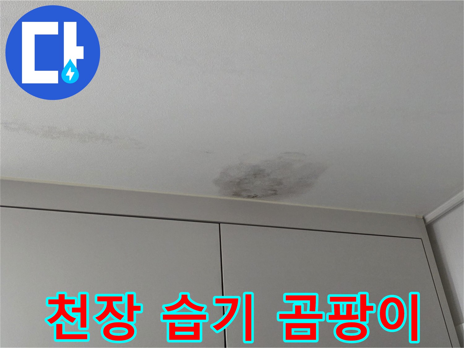 구리시 인창동 누수 - 천장 습기, 곰팡이 발생 전 점검