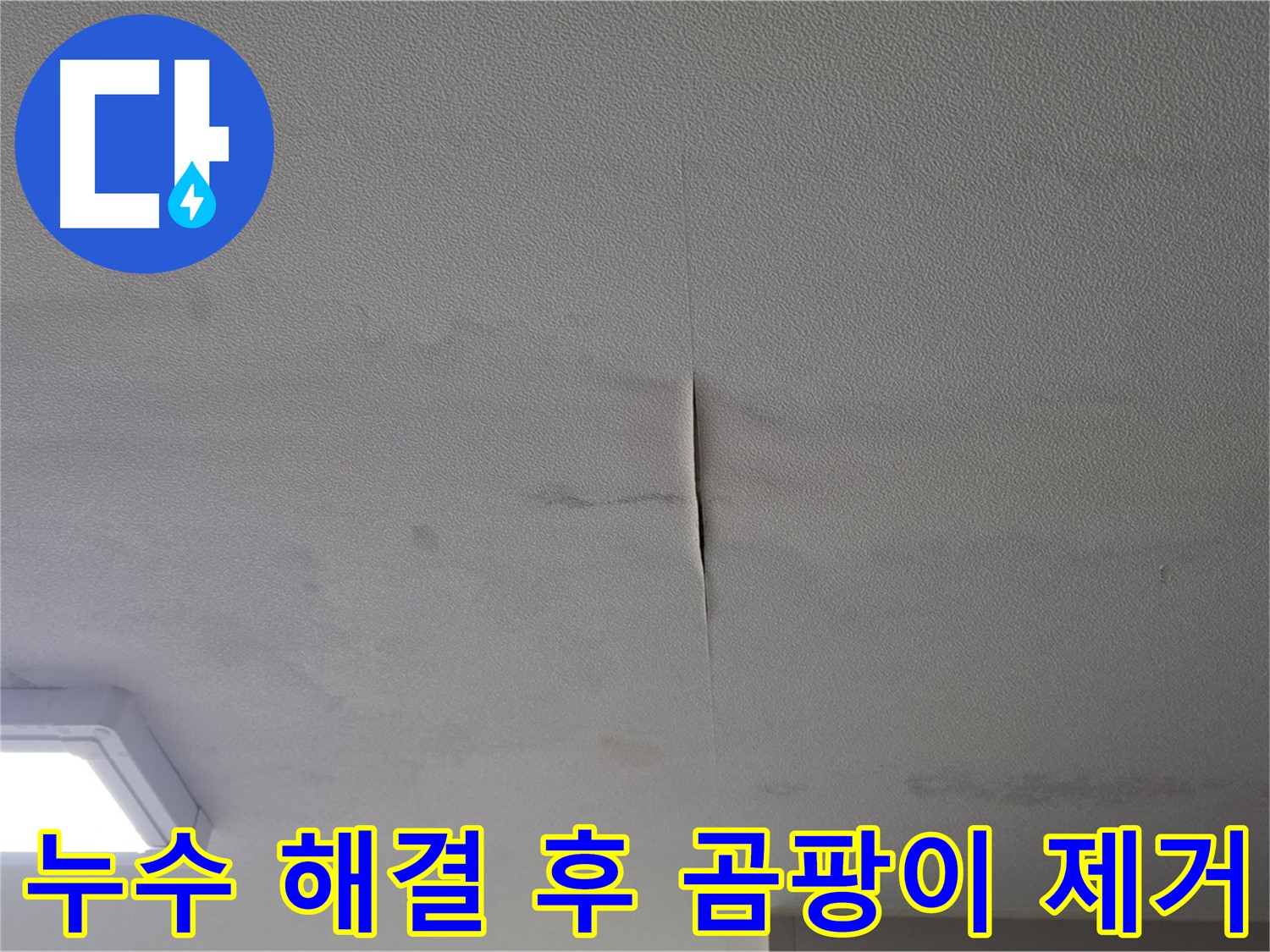 누수 해결 후 곰팡이 제거 작업