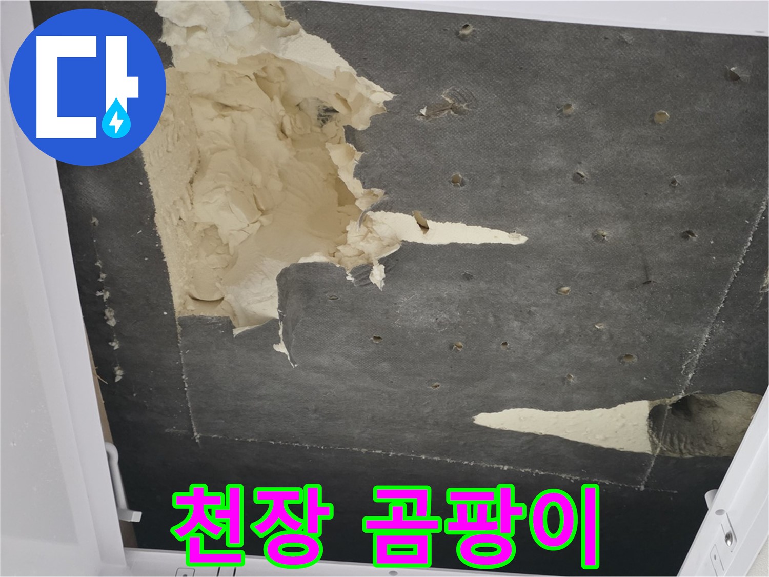 천장 누수 곰팡이 - 곰팡이 발생 - 건강 위협