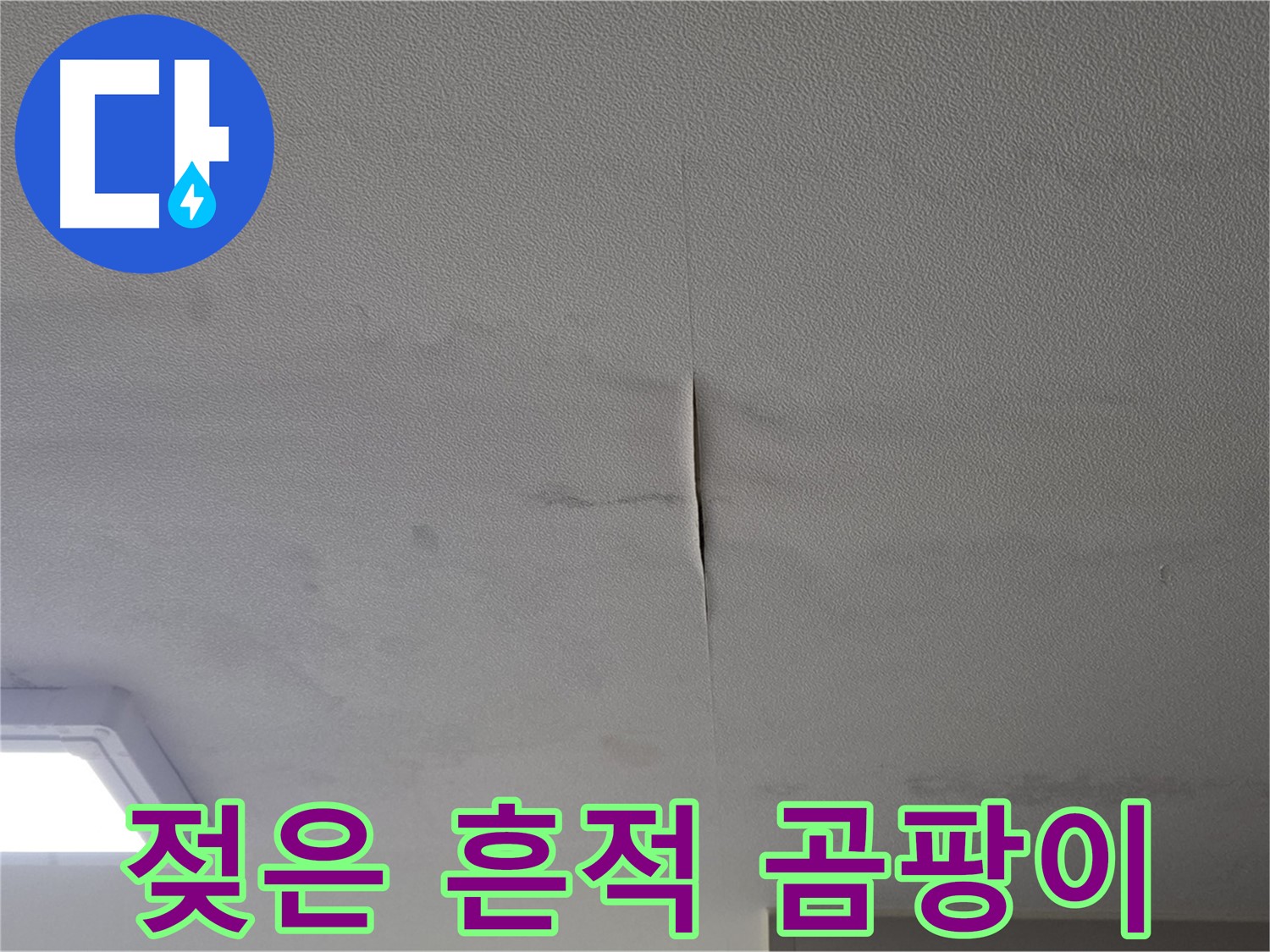 천장 누수 - 젖은 흔적과 곰팡이 냄새