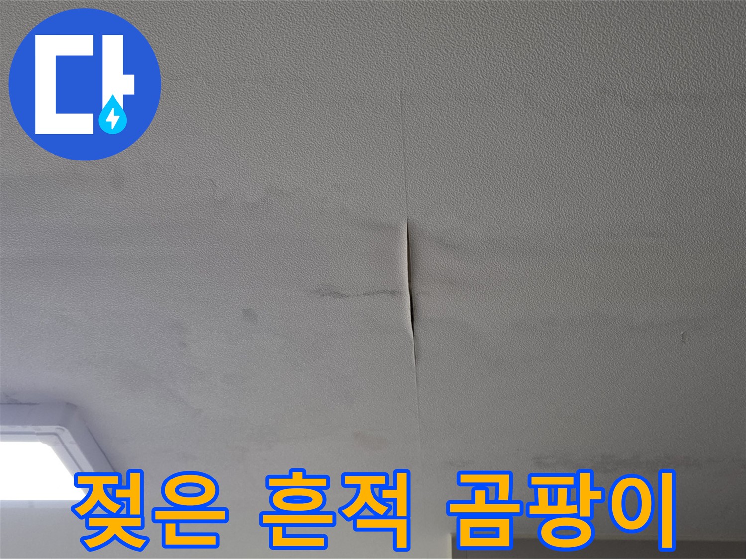 천장 누수 - 젖은 흔적과 곰팡이 냄새