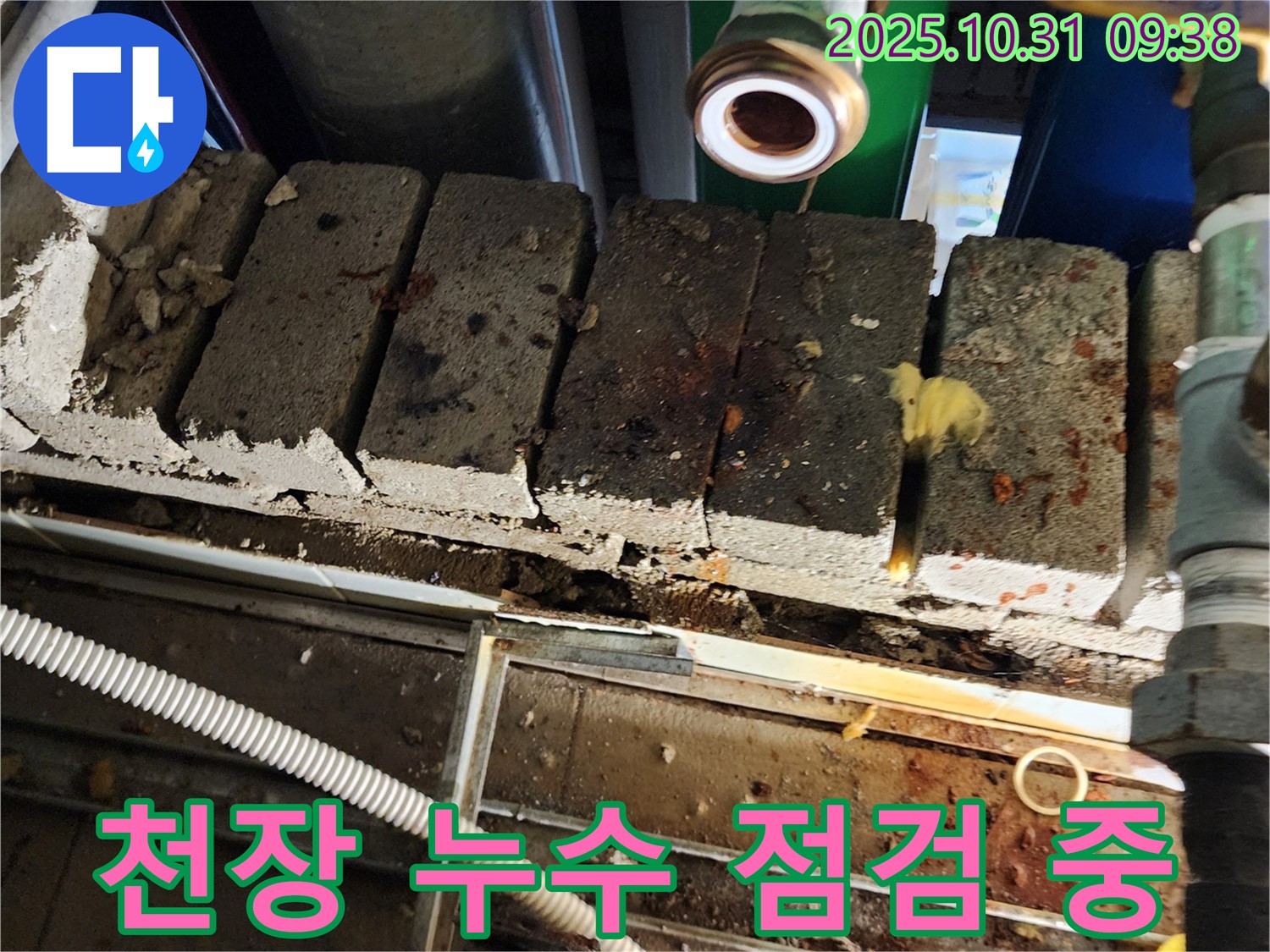 천장 누수 점검 중 - 천장 꼼꼼 점검. 입소문 난 실력
