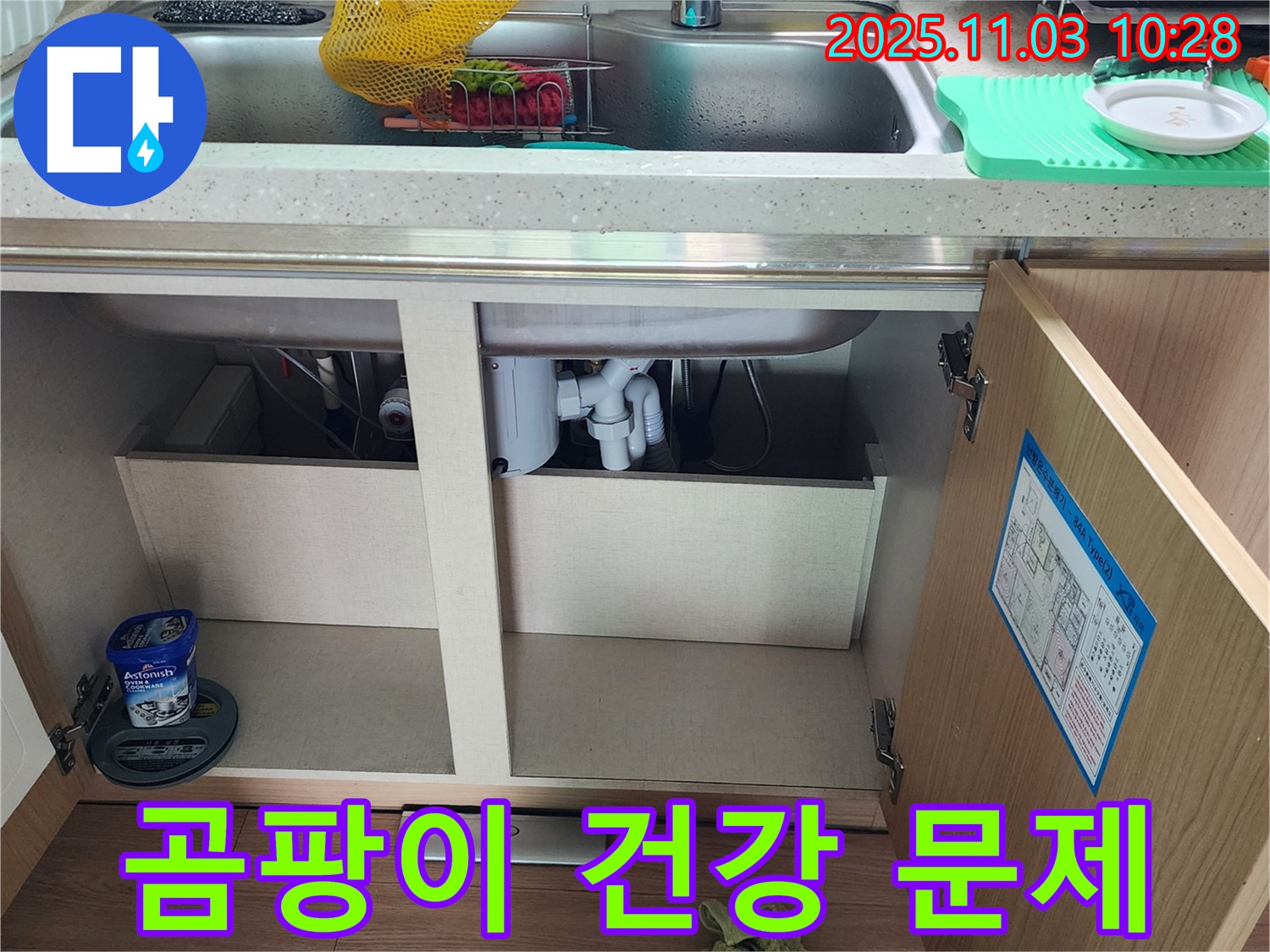 곰팡이 건강 문제 - 배수구 주변 - 쾌적한 환경