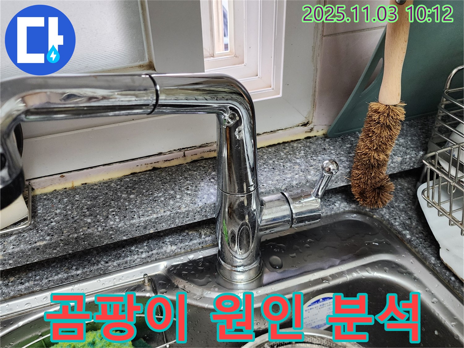싱크대-창틀 곰팡이-결로 제거 - 환기 시스템 점검 - 곰팡이 원인 분석 보고서 제공