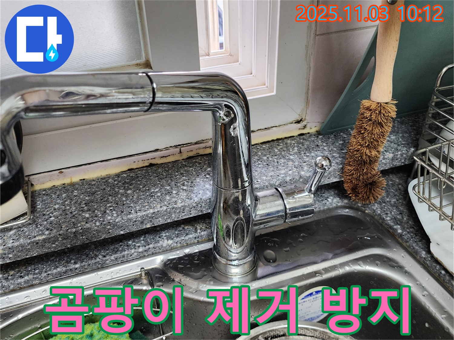 싱크대와 창틀 곰팡이 - 완벽한 곰팡이 제거 - 곰팡이 재발 방지 시공