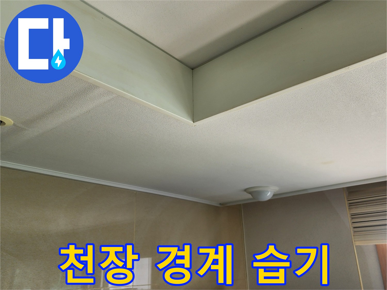 천장-과-벽면-사이의-습윤한-상태
