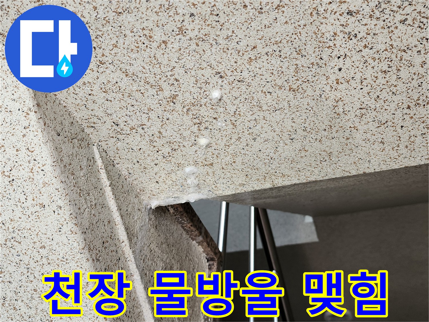 양주옥정동-아래층-천장에-맺힌-물방울-현상