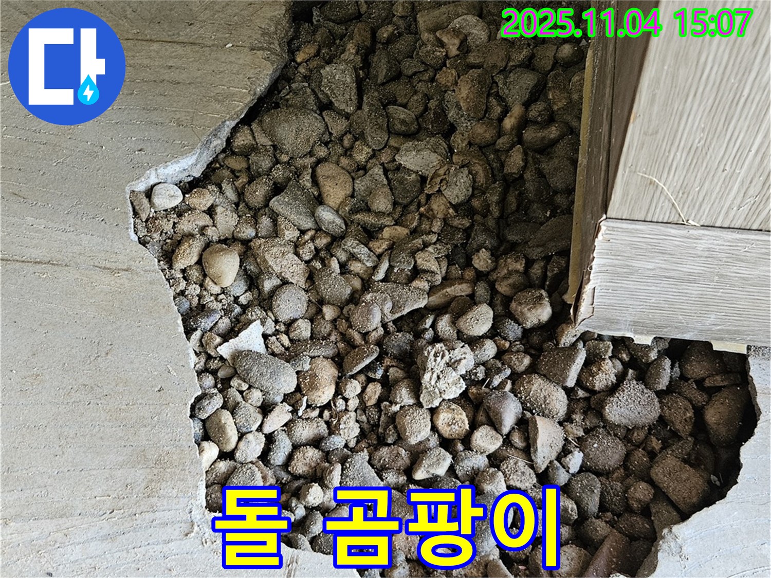 돌 곰팡이 - 콘크리트 속 돌, 곰팡이 서식