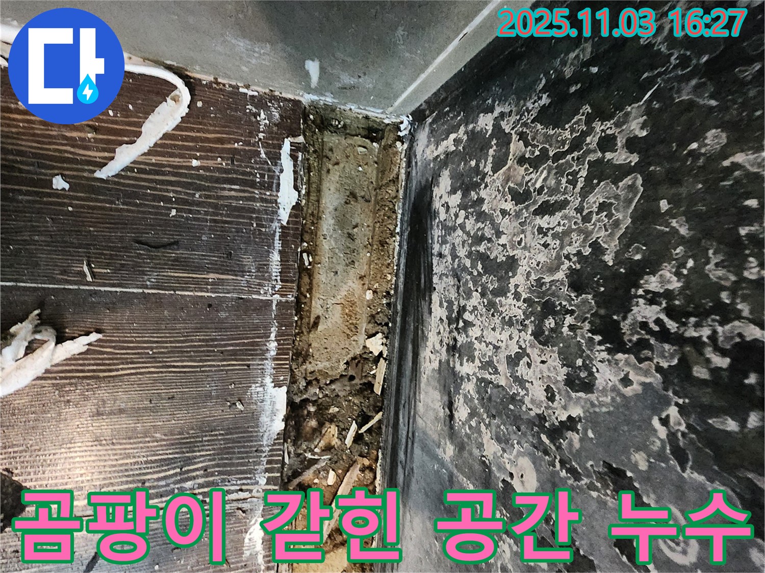 양주시 백석읍 누수 - 곰팡이와 함께 갇힌 공간! 누수와의 숨 막히는 사투에서 벗어나세요!