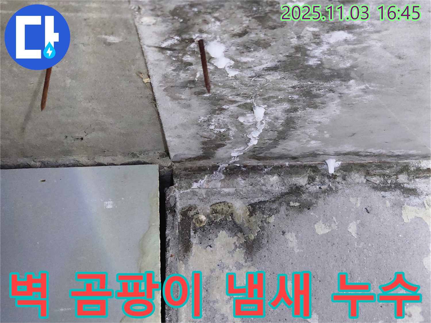 콘크리트 벽 곰팡이 냄새 - 누수-곰팡이 동거 의심