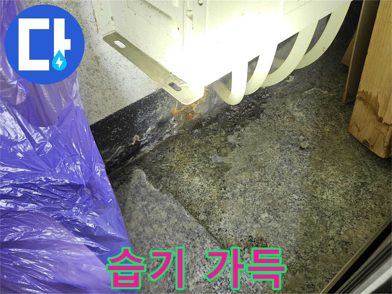 습기 가득한 누수 현장 - 곰팡이 번식 위험 증가