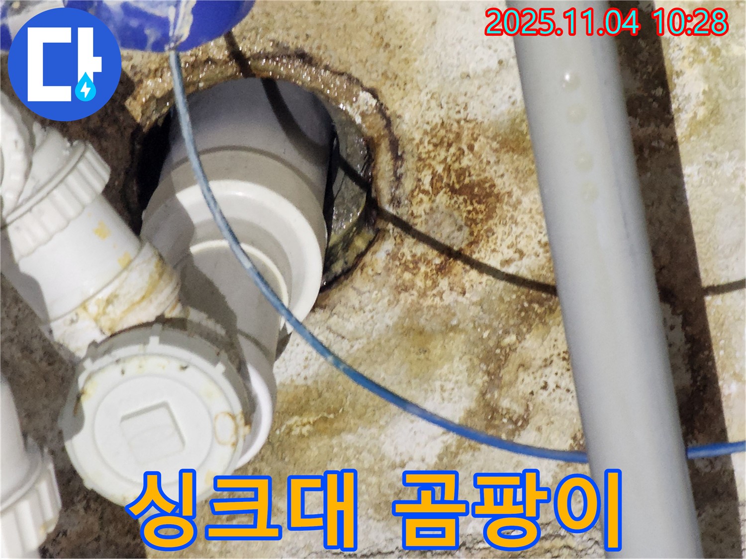 다산 싱크대 누수 - 곰팡이 발생
