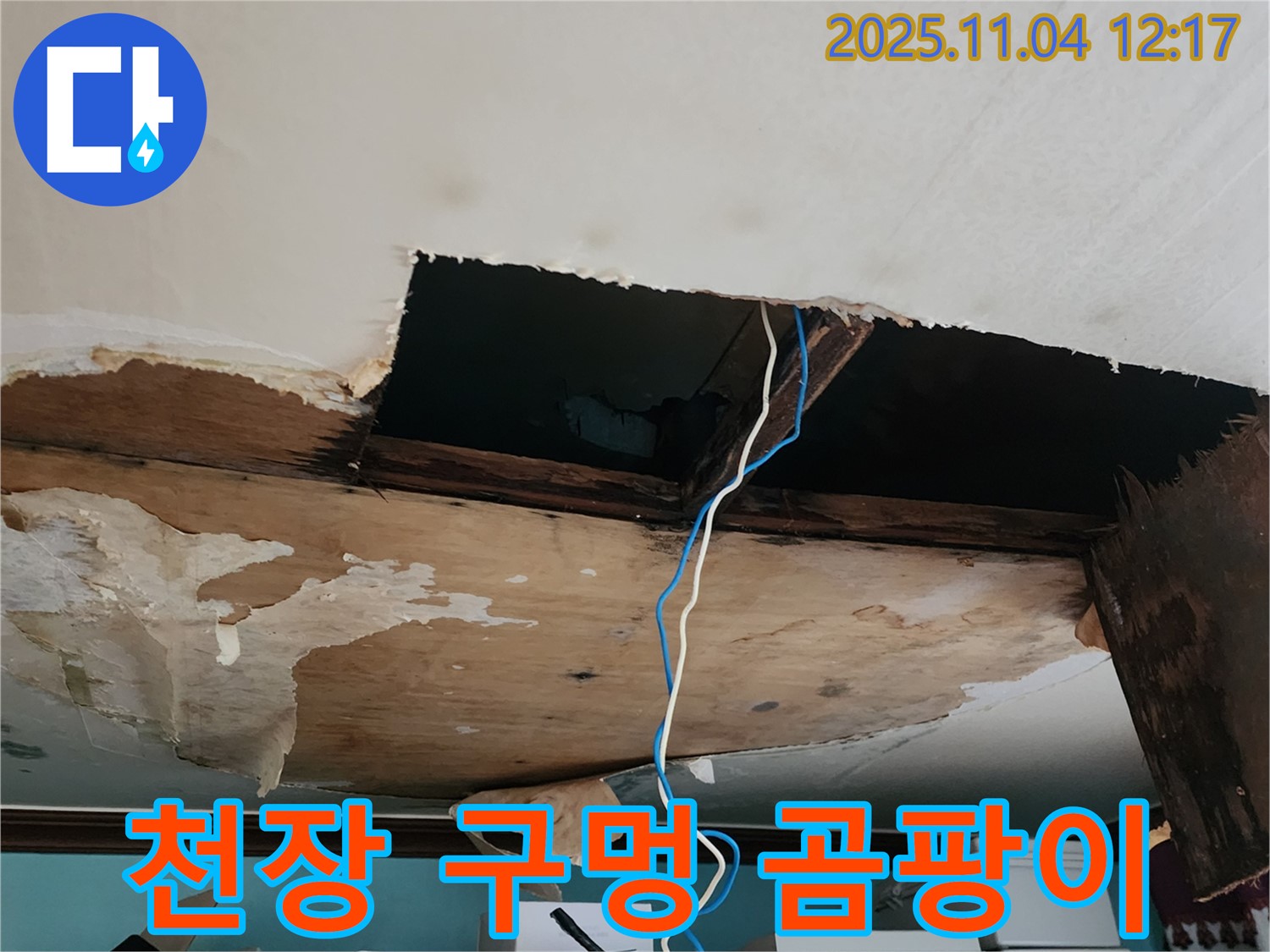 포천 소흘읍 천장 누수 - 천장 구멍과 곰팡이, 노출된 전선