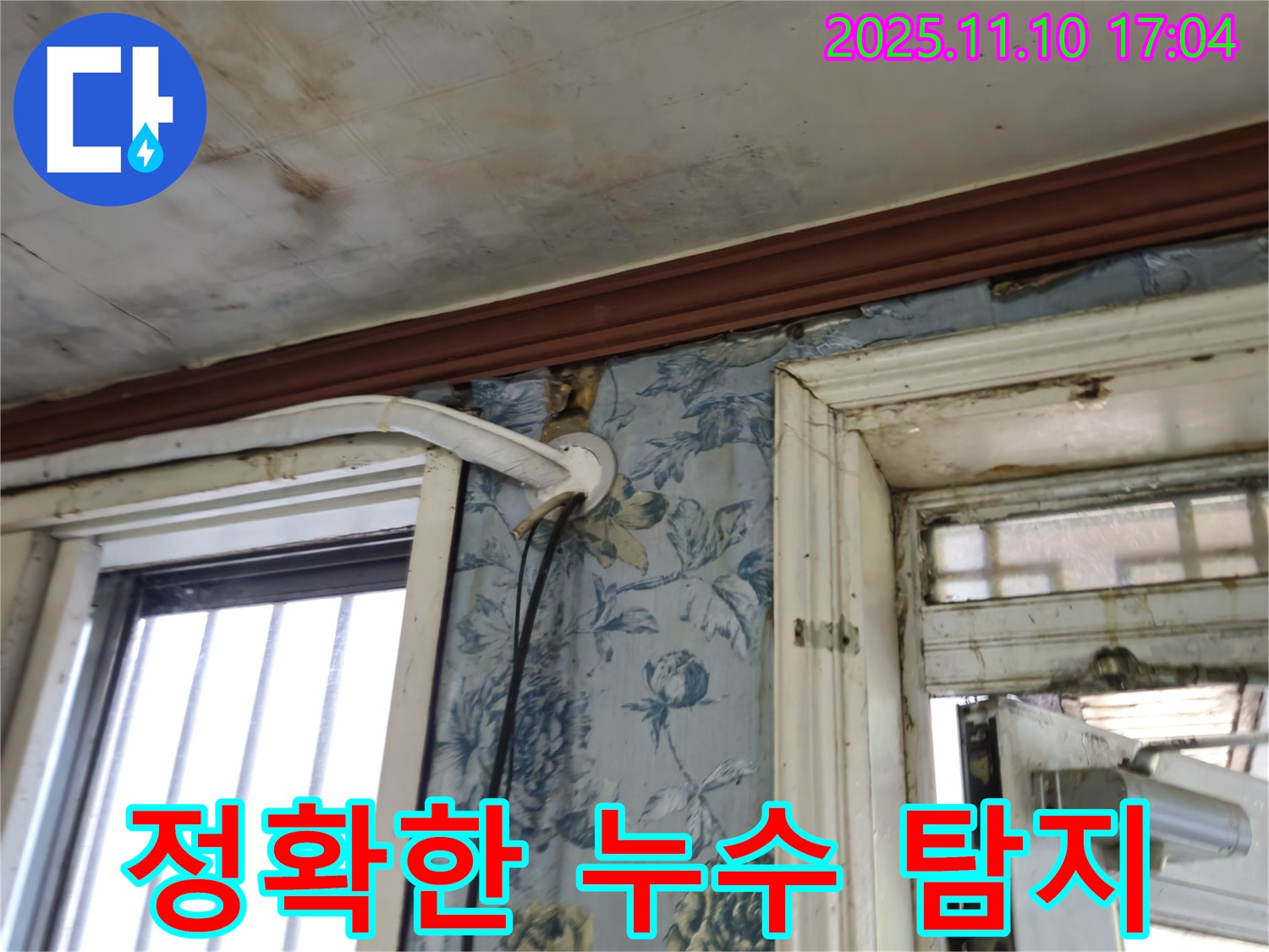 용산구 청파동 누수 현장 - 정확한 누수 지점 탐지 과정