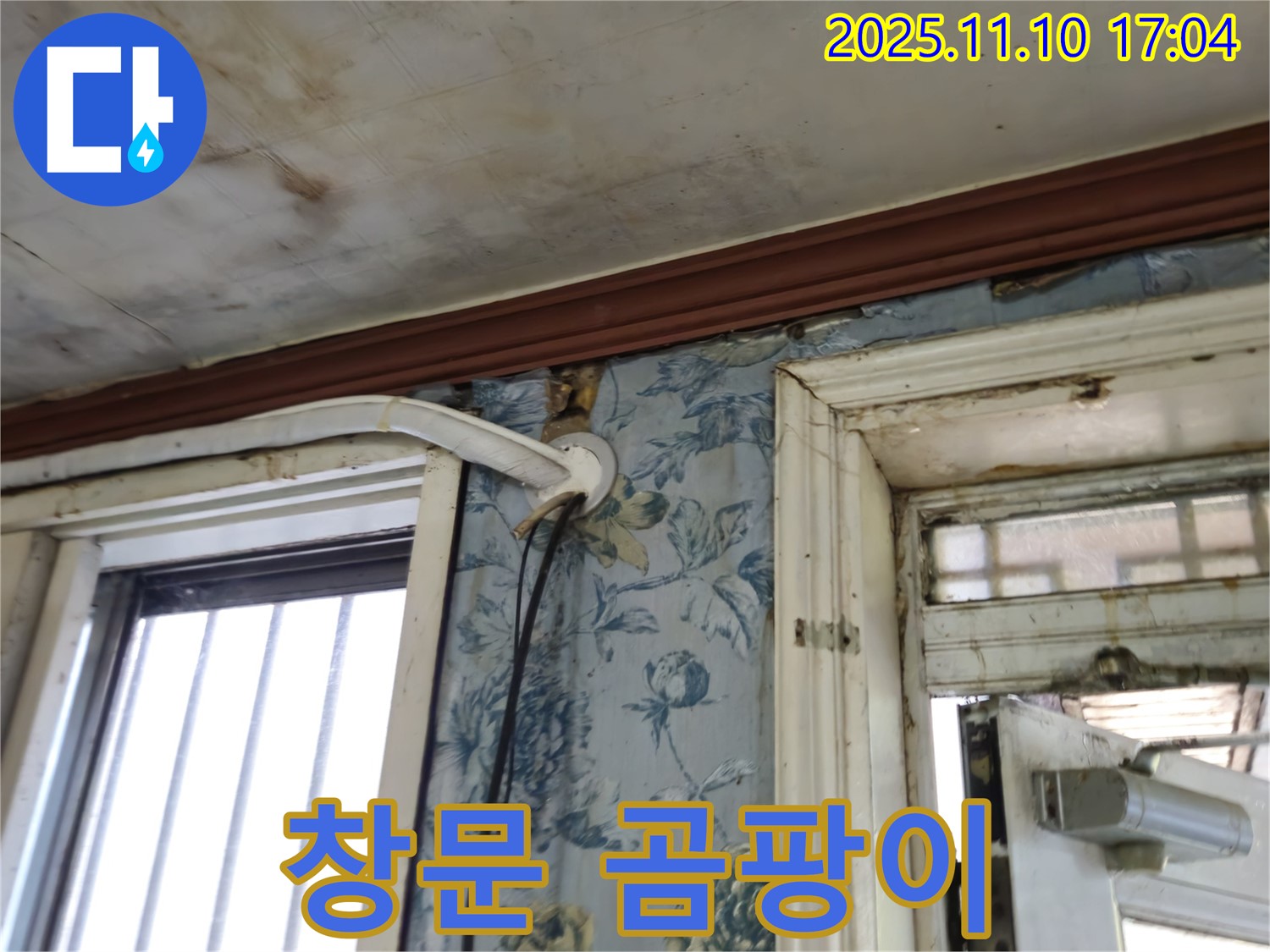 용산구 청파동 누수 현장 - 창문 주변 곰팡이 발생