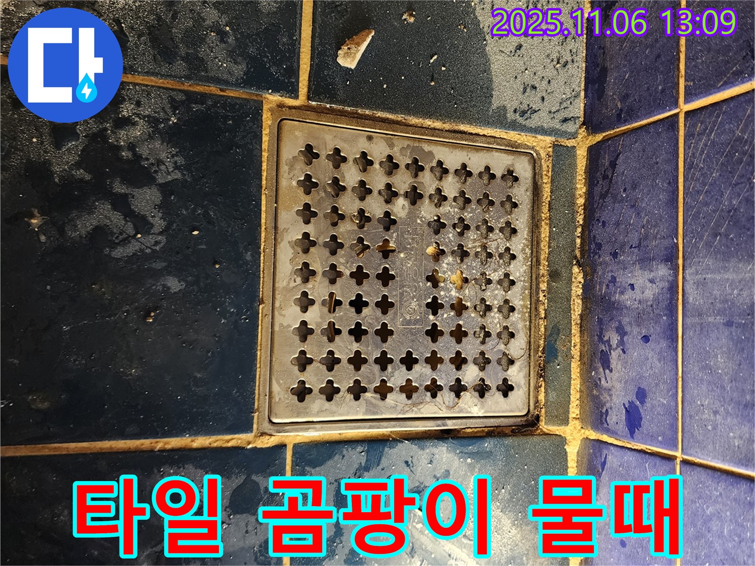 고모리 누수 - 욕실 배수구 주변 타일 틈새 곰팡이 및 물때