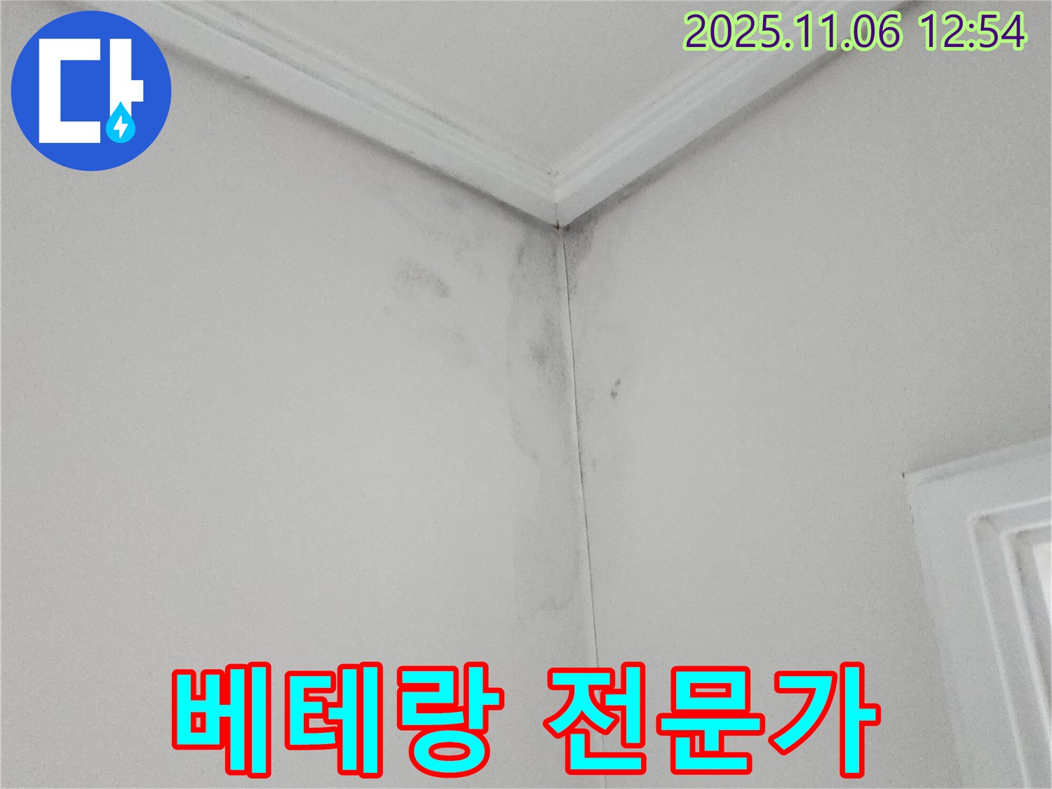 벽 모서리 얼룩 - 베테랑 전문가, 완벽 시공
