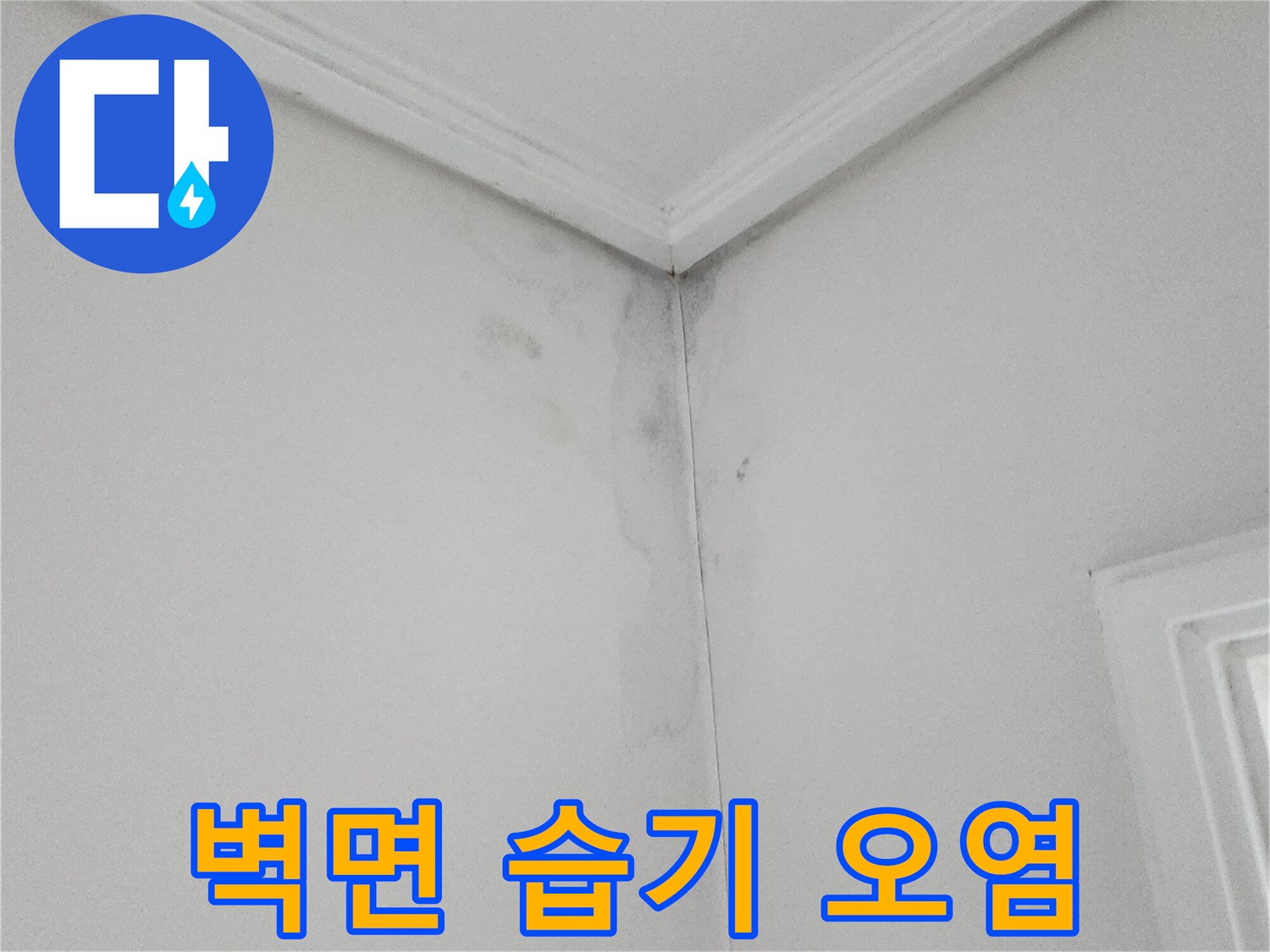 소흘읍 현장-천장과 벽면 사이의 곰팡이 발생 부위