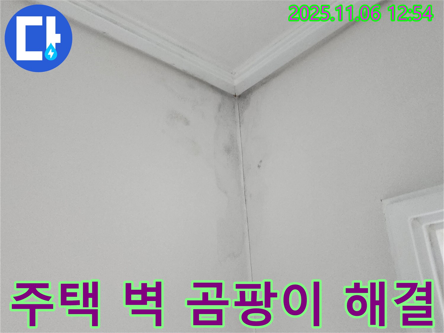 주택 벽 모서리 곰팡이 - 완벽한 누수 해결 및 곰팡이 제거
