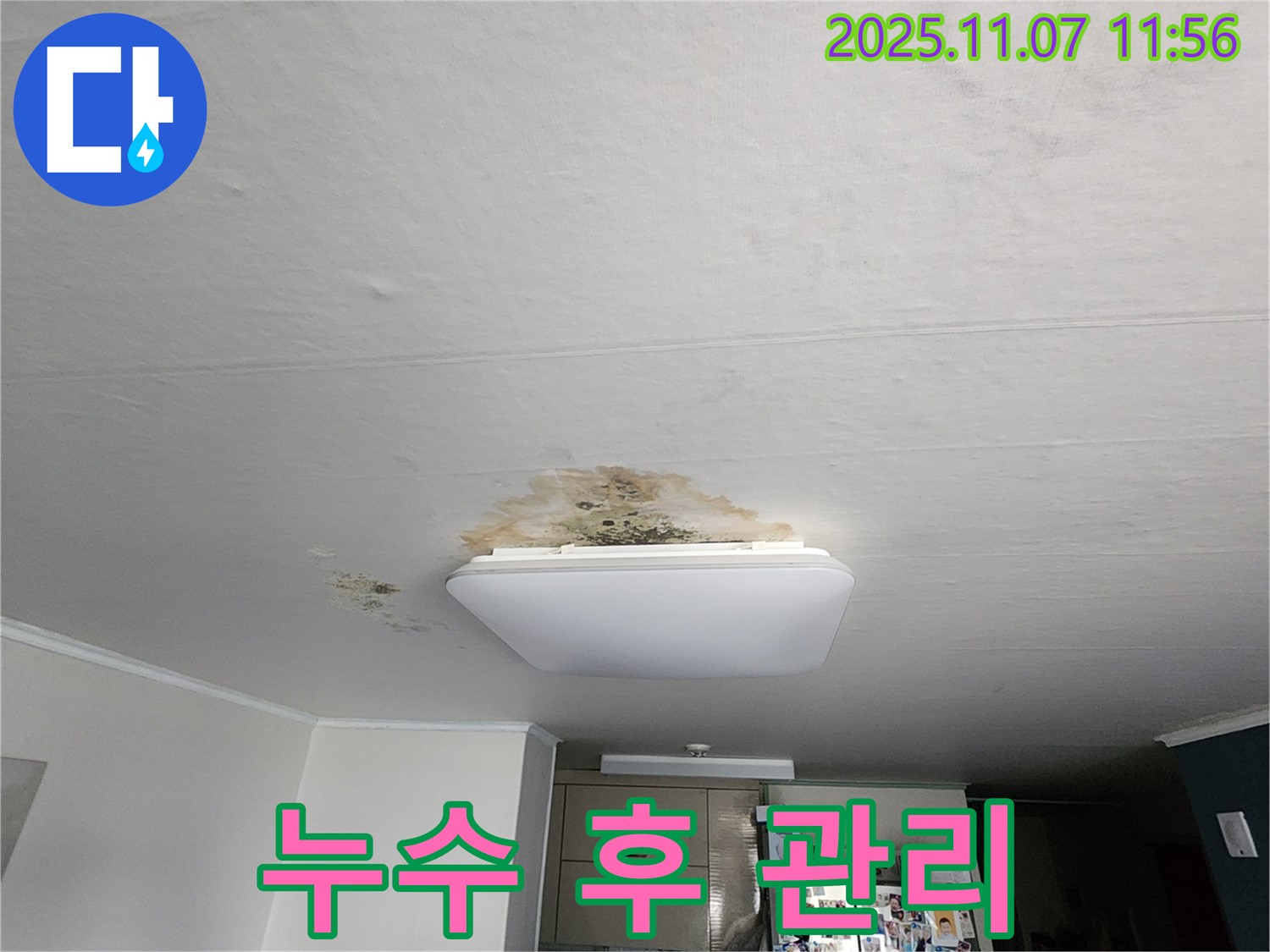 곰팡이 천장 - 누수 해결 후 관리 요령