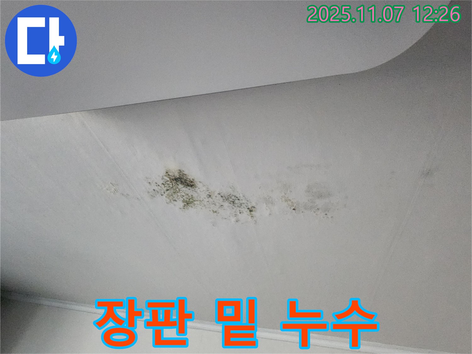 장판 밑 누수 - 습기 주의