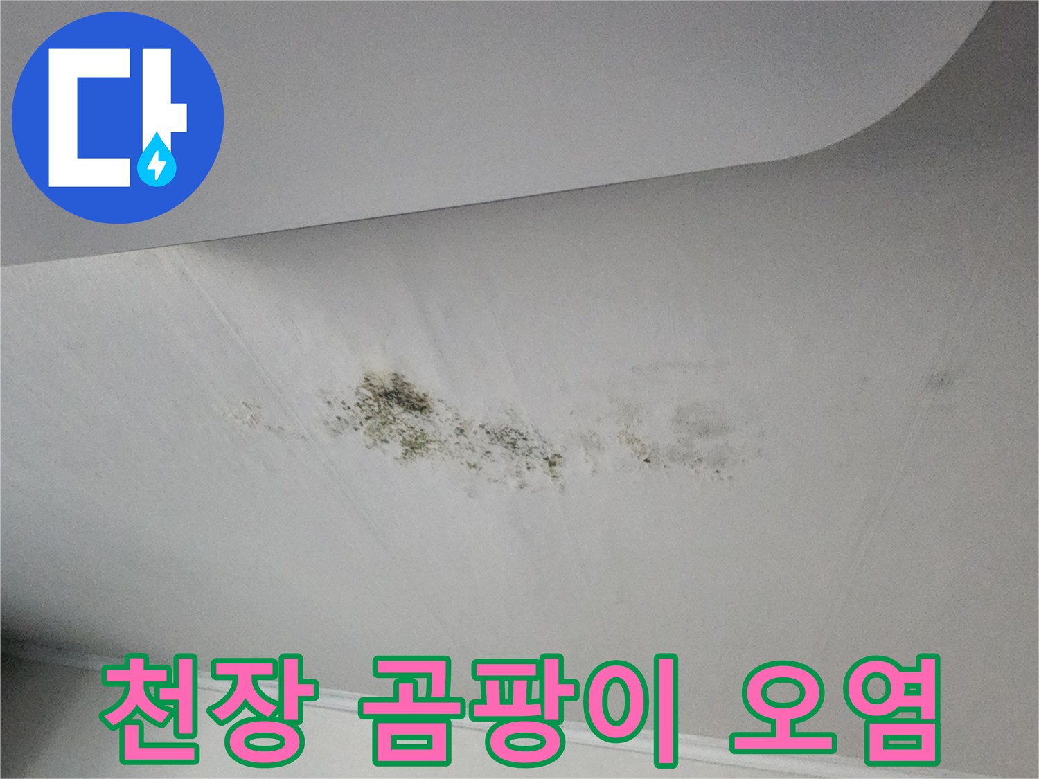 천장 마감재의 곰팡이 및 변색된 상태
