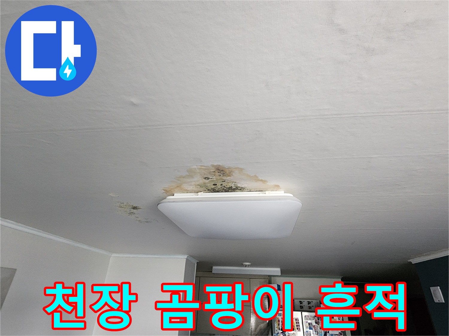 천장 마감재의 황색 변색과 곰팡이 오염 부위 상세 사진